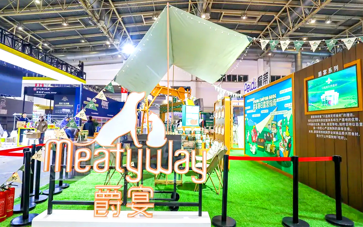 让铲屎官一眼就心动的宠物展台设计布置