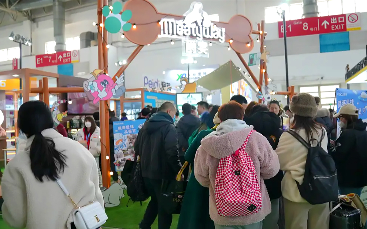 让铲屎官一眼就心动的宠物展台布置设计